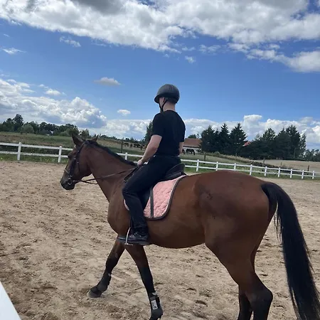 Oaza Niegocin - Nad Jeziorem * Ruda (Gizycko County)