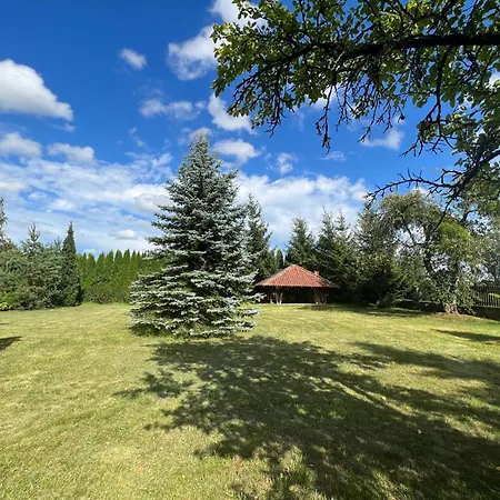 Oaza Niegocin - Nad Jeziorem 別荘 *