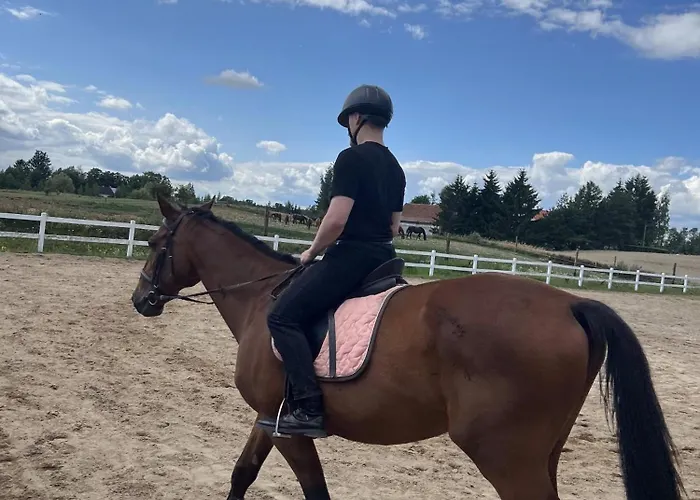 Oaza Niegocin - Nad Jeziorem * Ruda (Gizycko County)